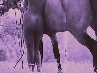 2060 natural tits porn videos